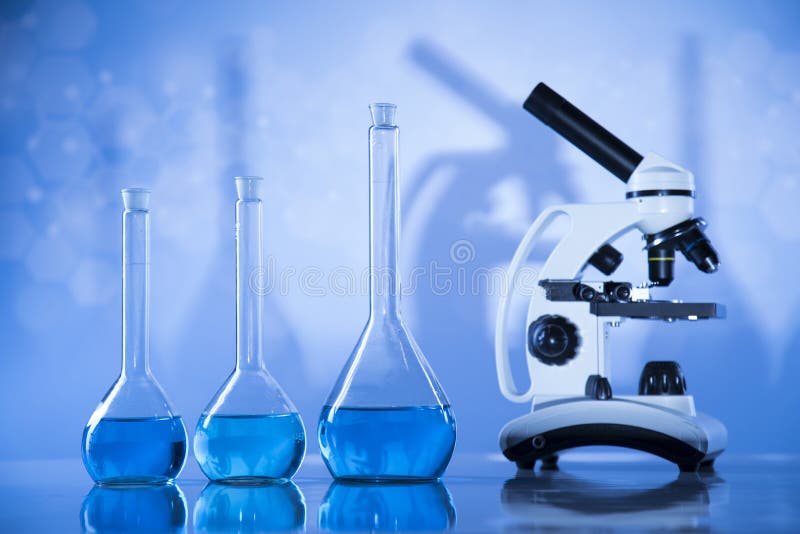 Science Experiment with Plant Laboratory Stock Photo - Image of flask ...
