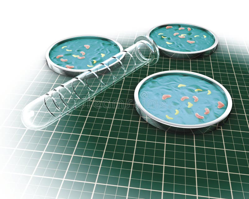 Laboratory cultures royalty free illustration