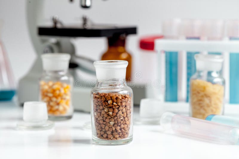 Laboratory for Food Analysis Cereals Test No One Stock Photo Image of