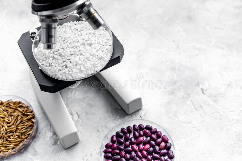 Laboratory for Food Analysis. Rice Under the Microscope on Grey