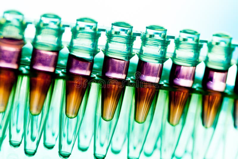 Laboratory research cancer diseases, rack with RNA samples royalty free stock photography