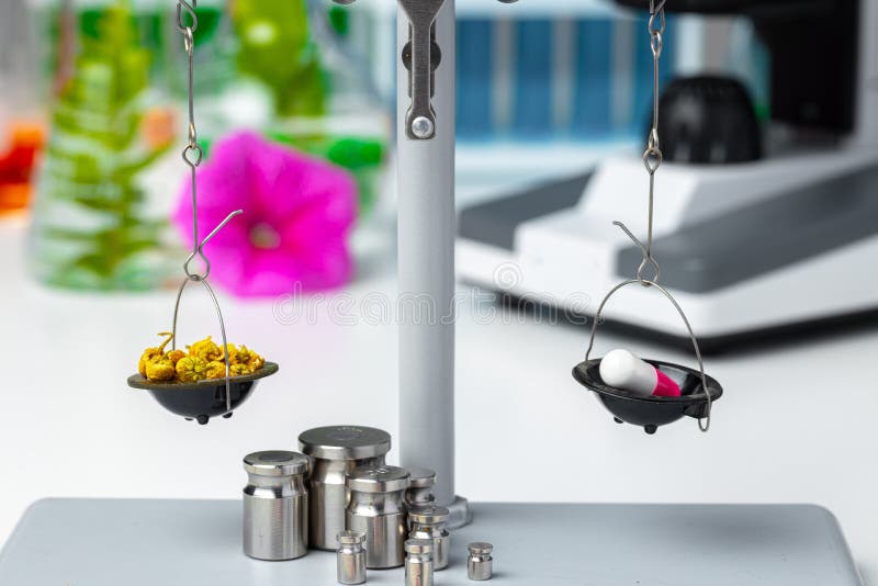 Laboratory scales with dry plants. Scientific research of plants concept stock image Laboratory scales with dry plants. Scientific research of plants concept stock image