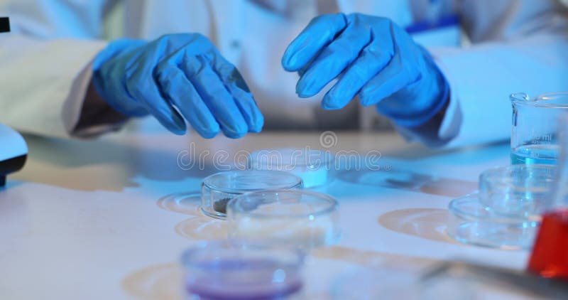 Laboratory technician conducts experiments with various powders and liquids on a work bench stock video footage