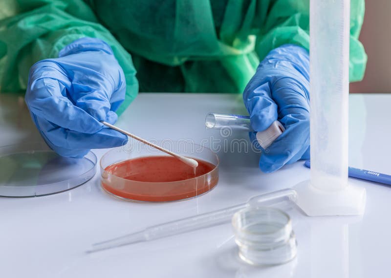 Laboratory Technician Sows a Culture Medium for the Development of