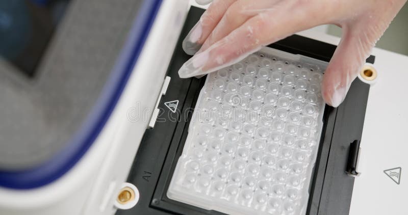 Laboratory technician wearing gloves placing microplate into automated machine for scientific analysis. Modern laboratory setup stock video