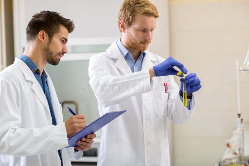 Laboratory Technicians Working in Lab Stock Image Image of horizontal