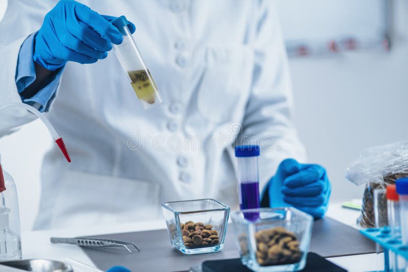 Laboratory Test Tube with Dry Pet Food Sample Dissolved in Water for