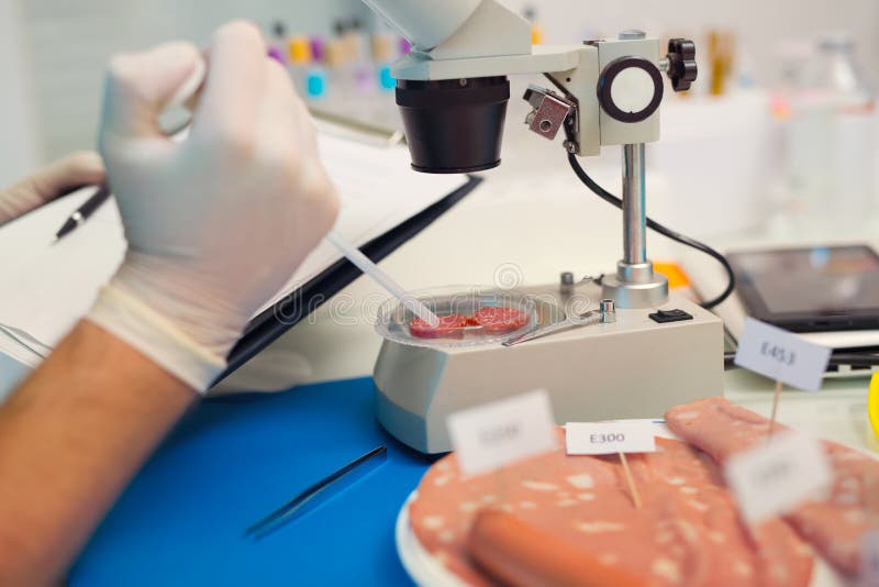Laboratory testing of cured meat products royalty free stock images Laboratory testing of cured meat products royalty free stock images