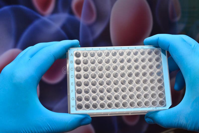 Laboratory Tests in Medicine. Stock Image Image of choice, biomedical