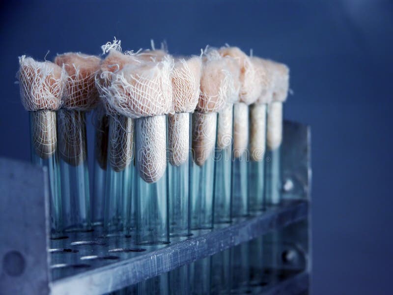 laboratoryjne kolby fotografia stock laboratoryjne kolby fotografia stock