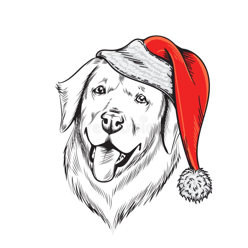 Cute Labrador Puppy In A Santa Claus Hat Stock Vector - Illustration of