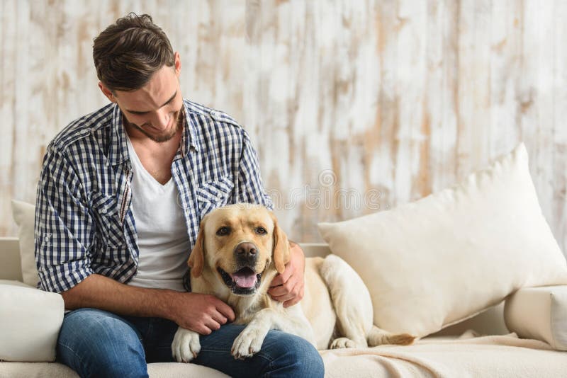 Labrador décontracté se trouvant sur un sofa avec un propriétaire photo libre de droits Labrador décontracté se trouvant sur un sofa avec un propriétaire photo libre de droits