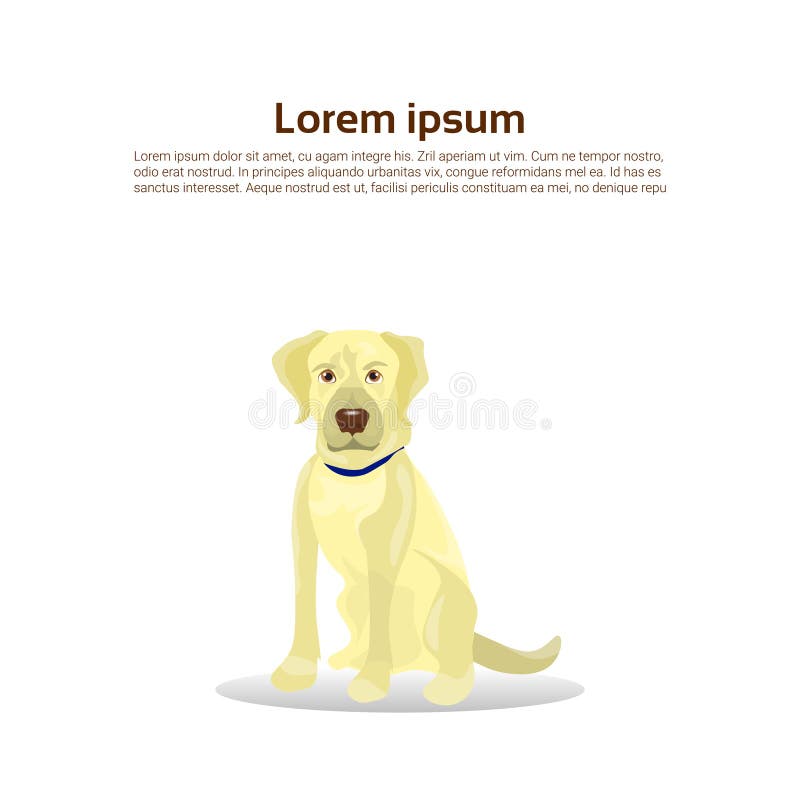 Labrador Retriever psa ikona Odizolowywająca Na Białym tle Z kopii przestrzenią ilustracja wektor Labrador Retriever psa ikona Odizolowywająca Na Białym tle Z kopii przestrzenią ilustracja wektor