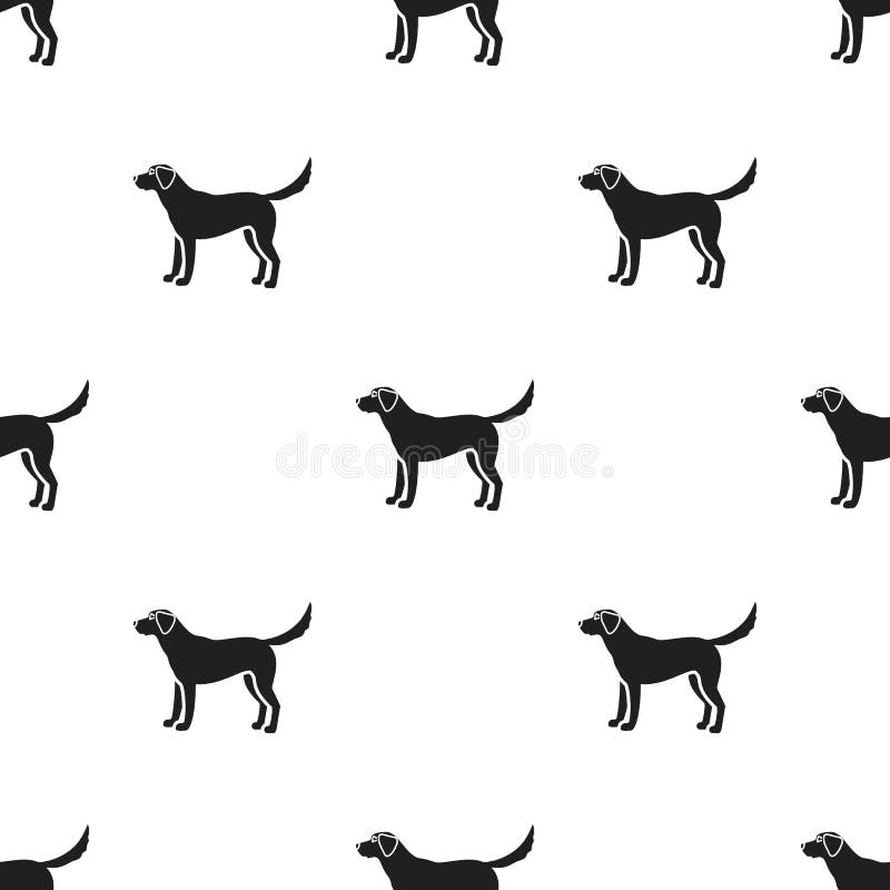 Labrador vector icon in black style for web stock illustration