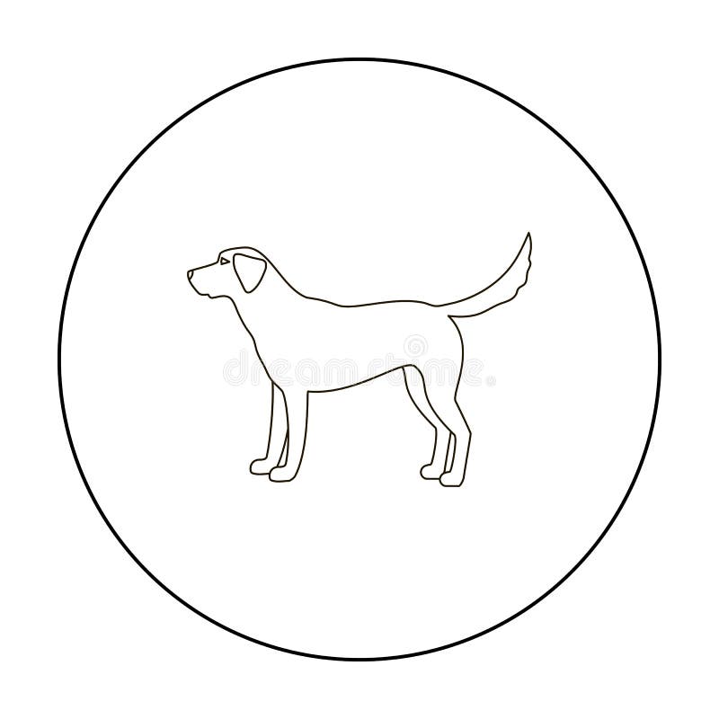 Labrador vector icon in outline style for web stock illustration