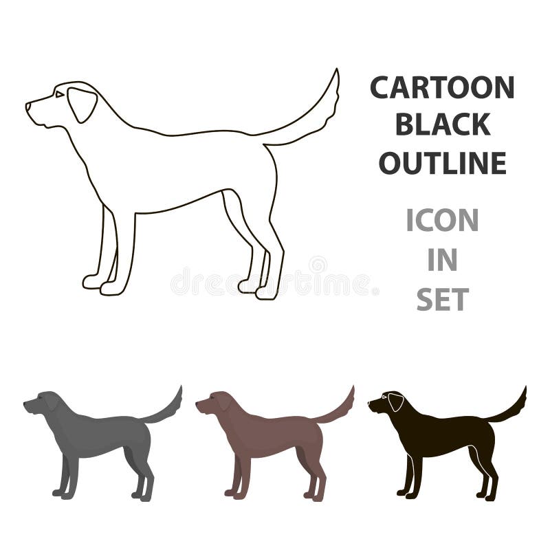 Labrador vector icon in cartoon style for web stock illustration