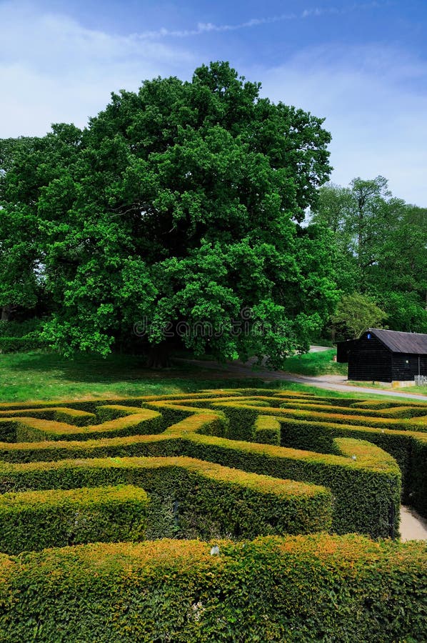 Labyrinth von Leeds Castle lizenzfreie stockfotos Labyrinth von Leeds Castle lizenzfreie stockfotos