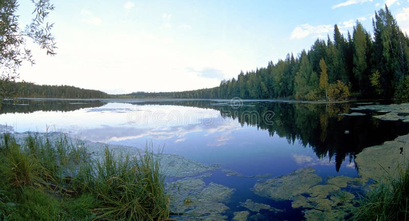Lac avec de l'eau propre en bois. photo libre de droits Lac avec de l'eau propre en bois. photo libre de droits