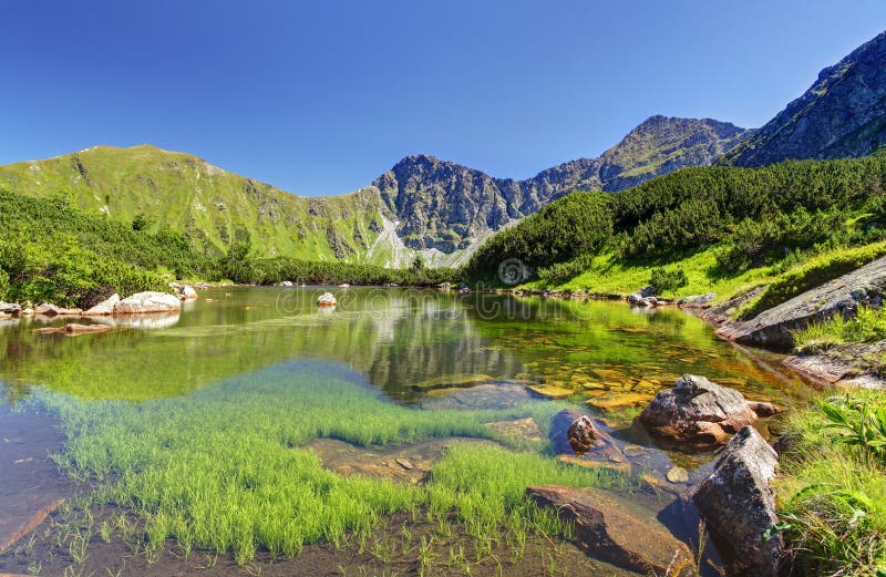 Lac de montagne de la Slovaquie - plesa de Rohacske photographie stock Lac de montagne de la Slovaquie - plesa de Rohacske photographie stock