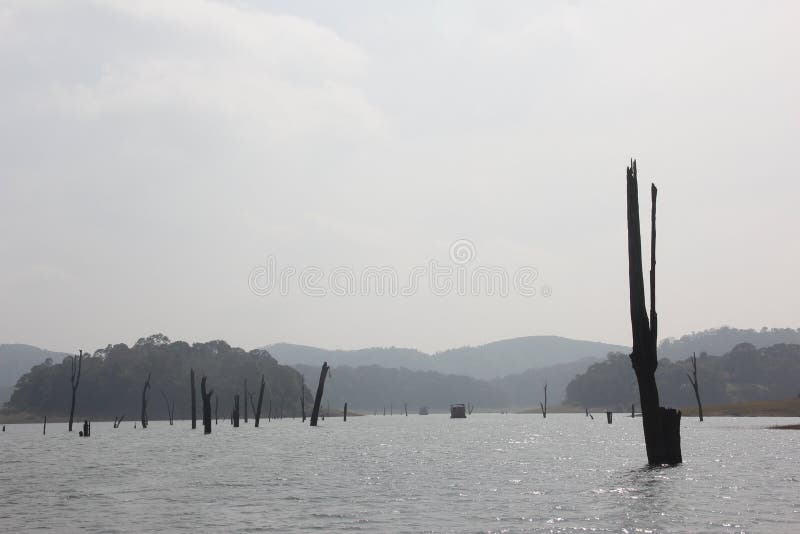 Lac en parc national de Periyar, Inde photos stock Lac en parc national de Periyar, Inde photos stock