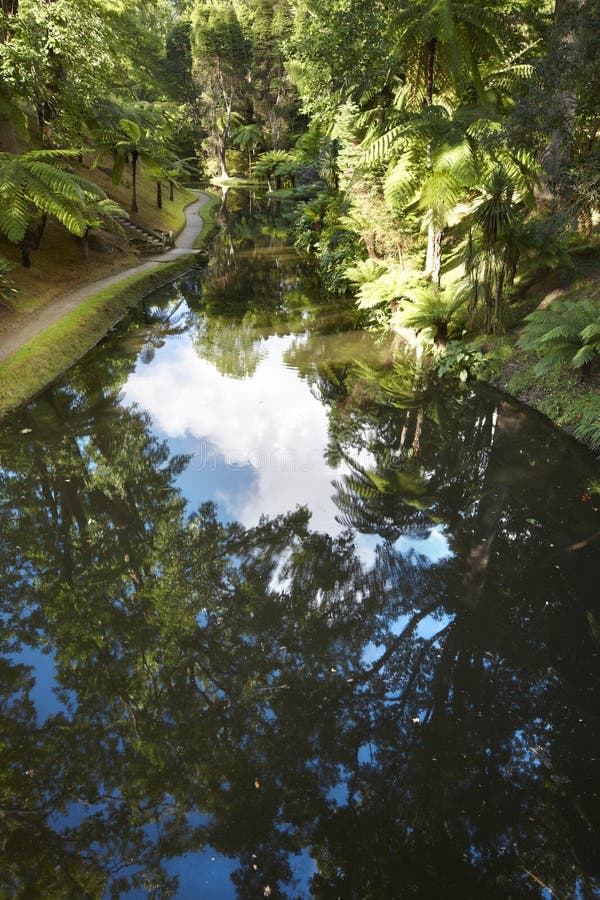 Lac, forêt subtropicale et voie dans le sao Jorge, Açores Portu image stock Lac, forêt subtropicale et voie dans le sao Jorge, Açores Portu image stock