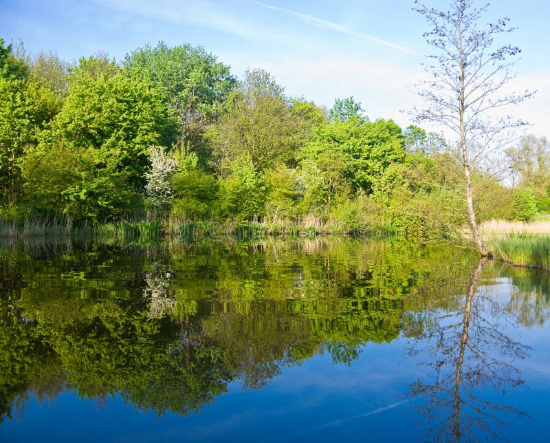 Lac Frumos royalty free stock photos