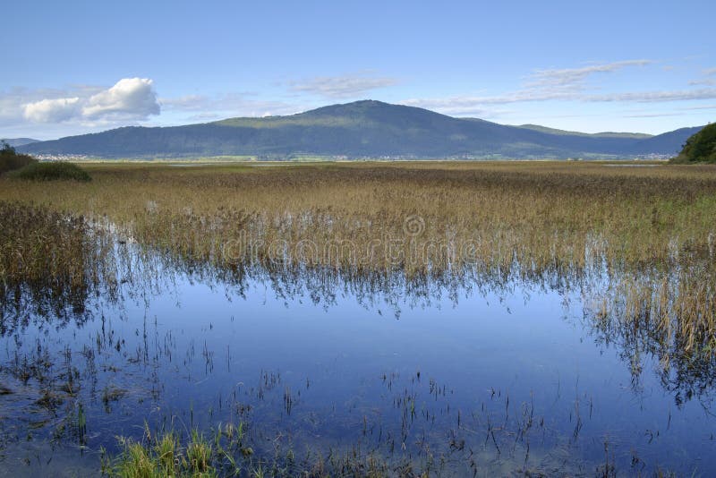 Lac intermittent Cerknica images stock Lac intermittent Cerknica images stock