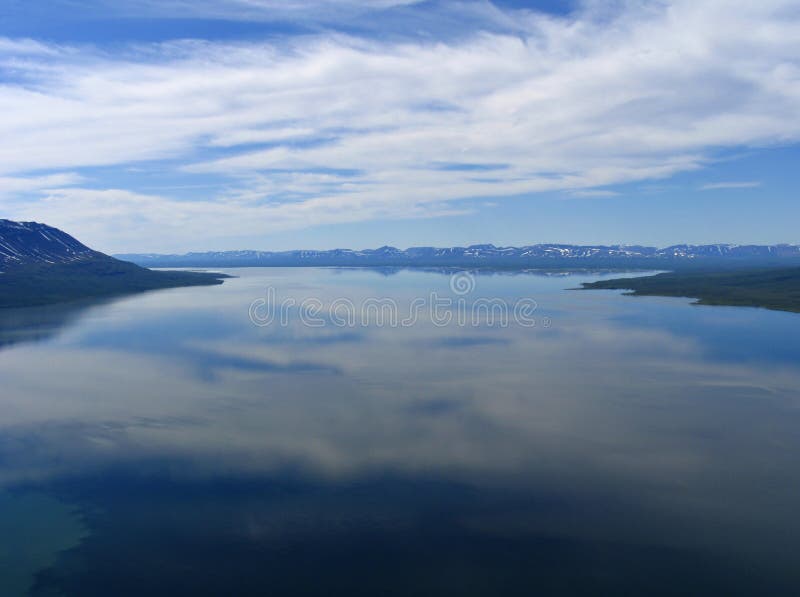 Lac lama. royalty free stock photos