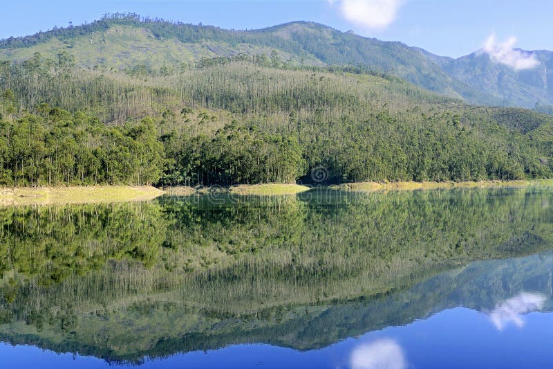 Lac scénique Munnar Mattupetty images stock Lac scénique Munnar Mattupetty images stock