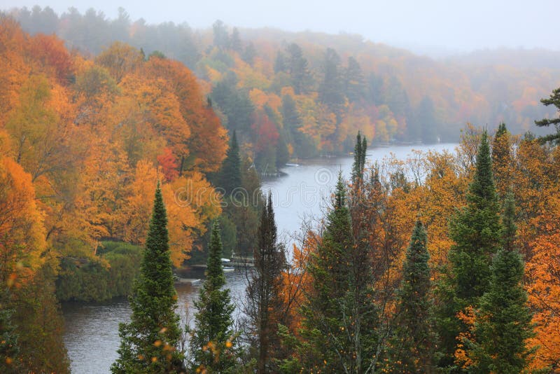Lac Sir John in Quebec Province Stock Photo Image of yellow, fall