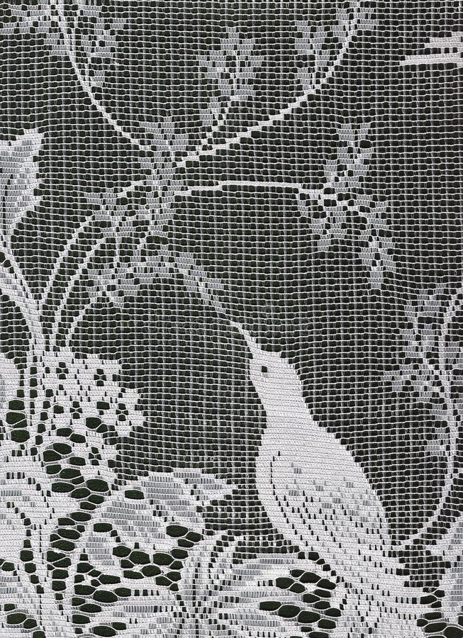 Lace bird.