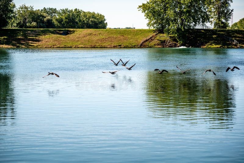The Lachine Rapids, Canada, Quebec royalty free stock photo The Lachine Rapids, Canada, Quebec royalty free stock photo