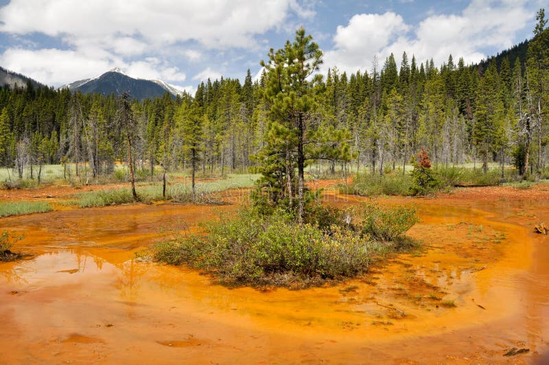 Lack-Potenziometer Kootenay im Nationalpark, Kanada lizenzfreie stockfotografie Lack-Potenziometer Kootenay im Nationalpark, Kanada lizenzfreie stockfotografie