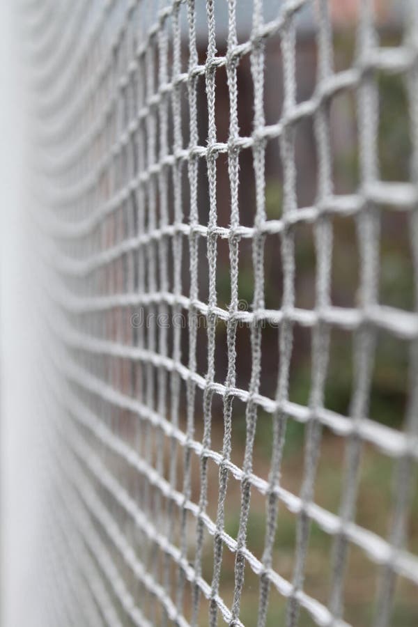 2,353 Lacrosse Stock Photos Free & RoyaltyFree Stock Photos from