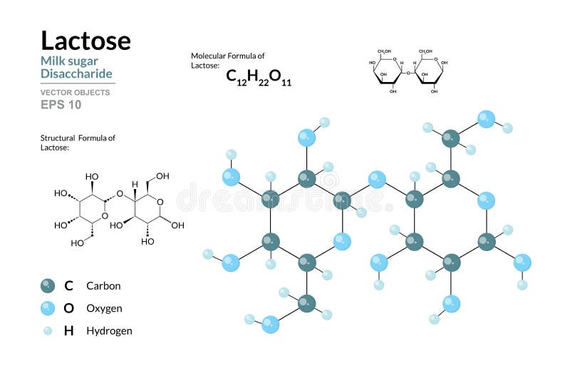 Lactose. Milk Sugar. Disaccharide. Structural Chemical Formula and