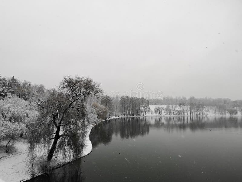 Lacul din parc în timpul furtunii de zăpadă pe timp de iarnă din oraș stock photos