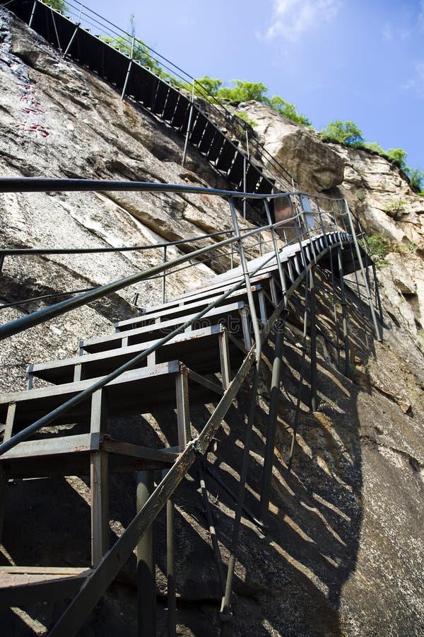 Ladder royalty-vrije stock afbeelding