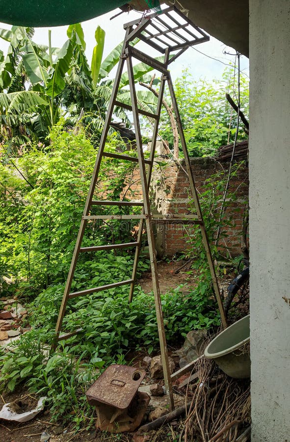The Ladder of the Iron Road. Stock Image Image of tree, garden 224626485