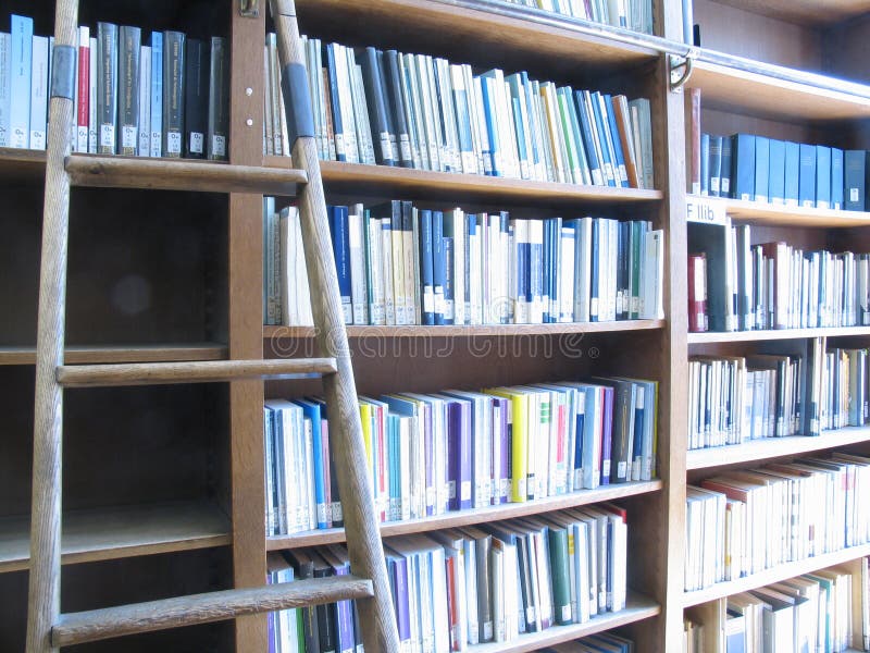 Escalera biblioteca.