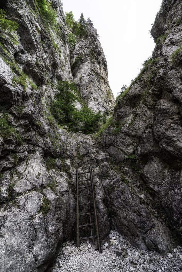 Rebrík na skalnom turistickom chodníku v Prosieckej doline, Slovensko