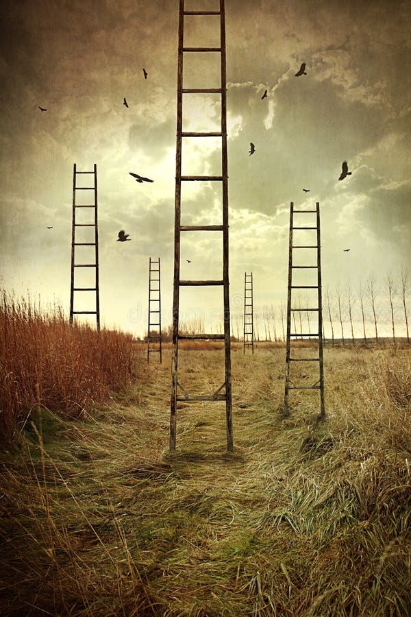 Ladders reaching to the sky in a field