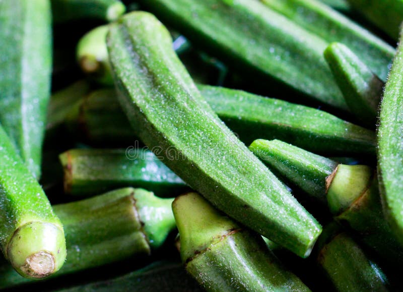 Ladies fingers stock image. Image of okra, finger, ladies 18930175