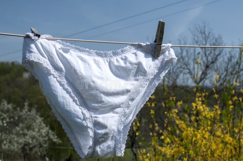 Underwear on rope in garden on sunny day · Free Stock Photo