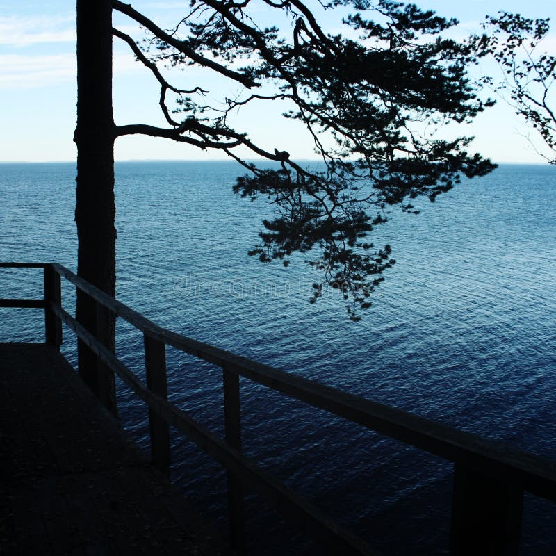 ladoga lake Sikt från en träplattform Valaam arkivbild ladoga lake Sikt från en träplattform Valaam arkivbild