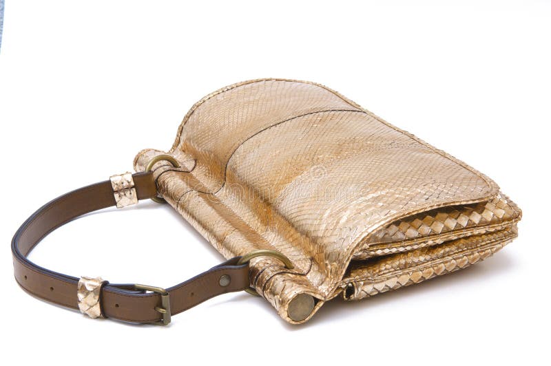 Lady bag stock image. Image of gifts, beautiful, studio 4849305