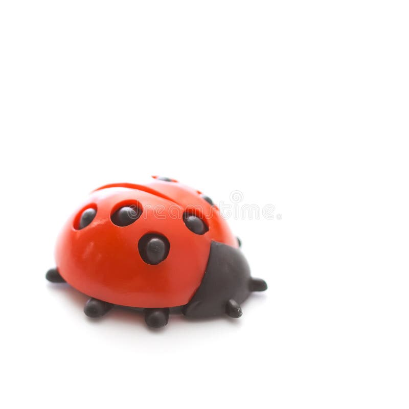 Lady bug