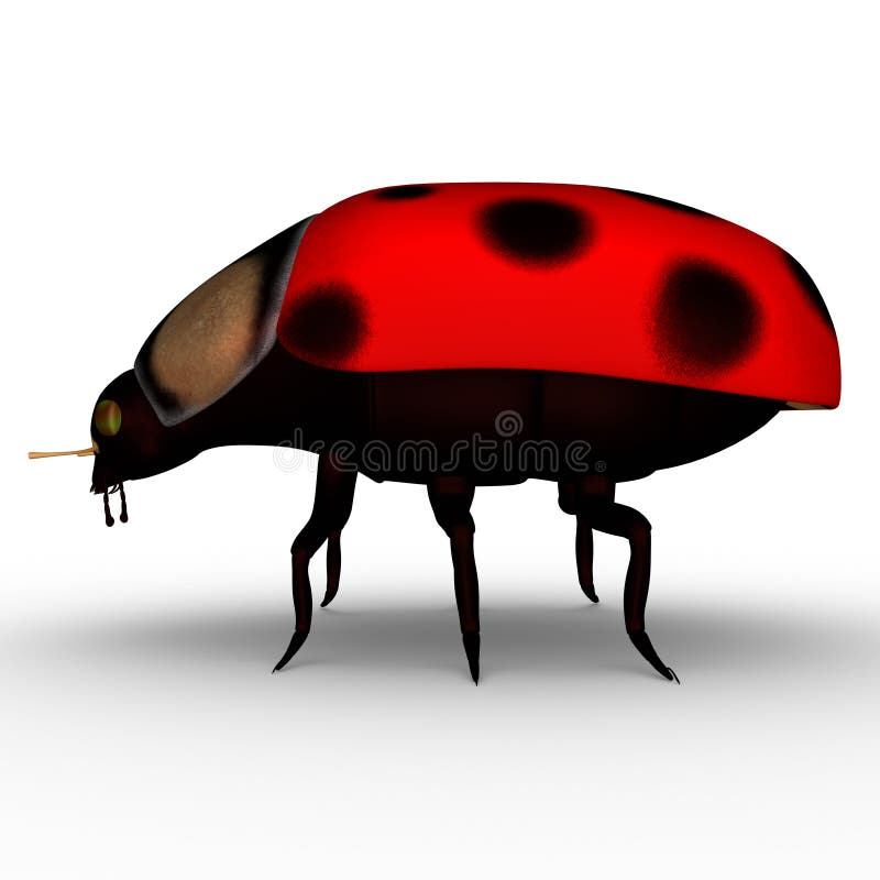 Download Ladybug Insect Illustration Royalty-Free Stock