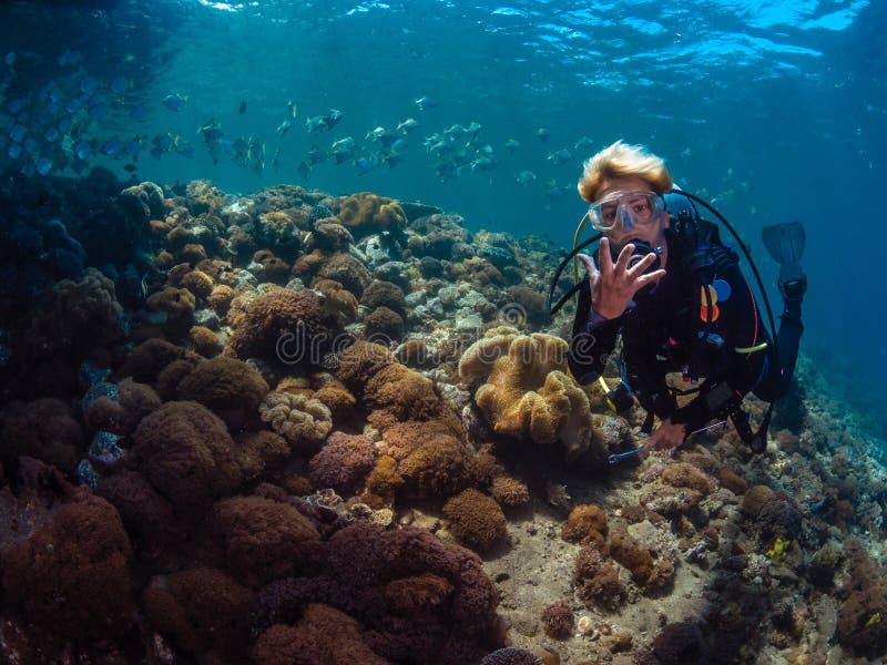 Lady diver with school of diamondfish stock image Lady diver with school of diamondfish stock image