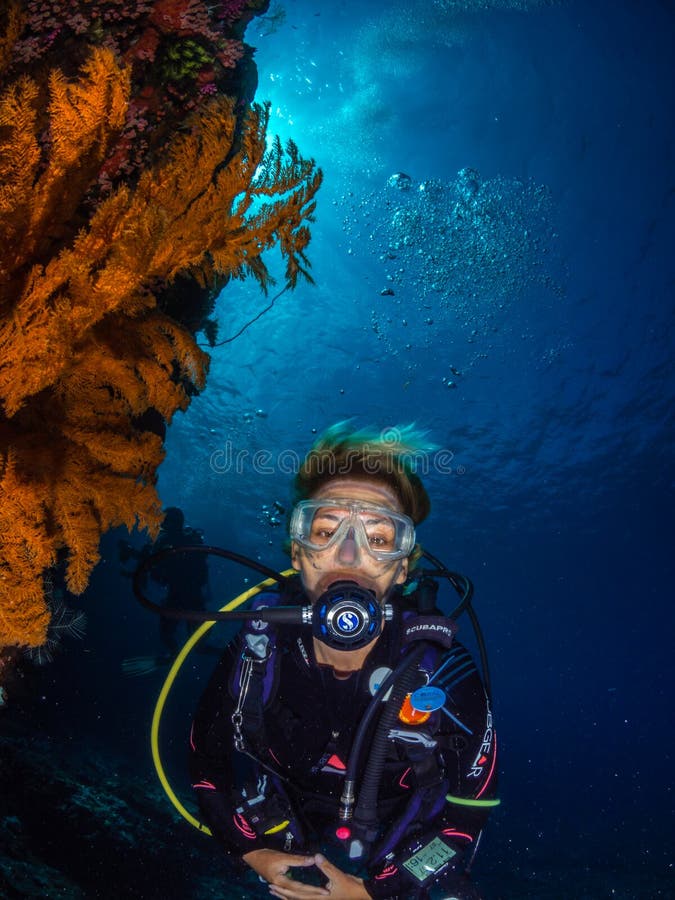 Lady diver and spectacular gorgonian