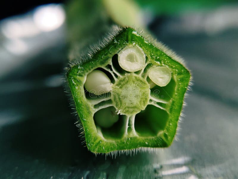 A lady finger close shots stock photography